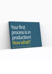 Your first process is in production! Now what?